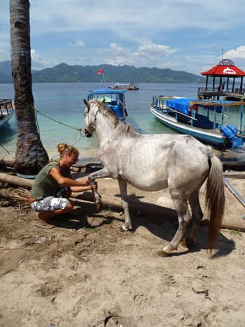 Person tending a white horse on the beach, with boats behind