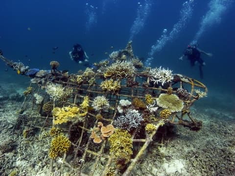 Divers above a coral-covered artificial reef structure